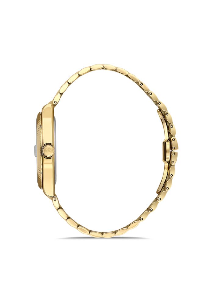 Momentus Erkek Kol Saati - CM262G-02SG