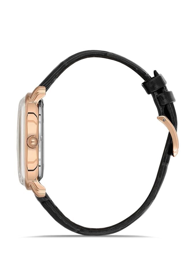 Hislon Erkek Kol Saati CL203R-04BR