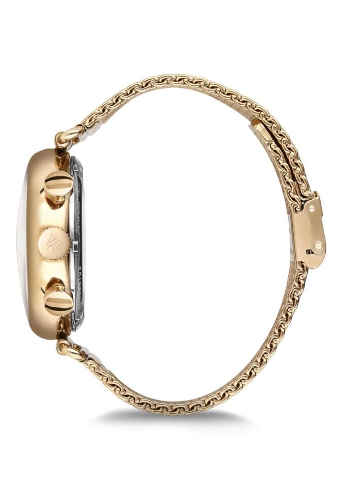 Momentus Erkek Kol Saati TM250G-02SG