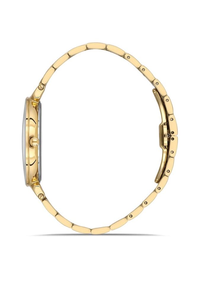 Hislon Erkek Kol Saati CL217G-04SG