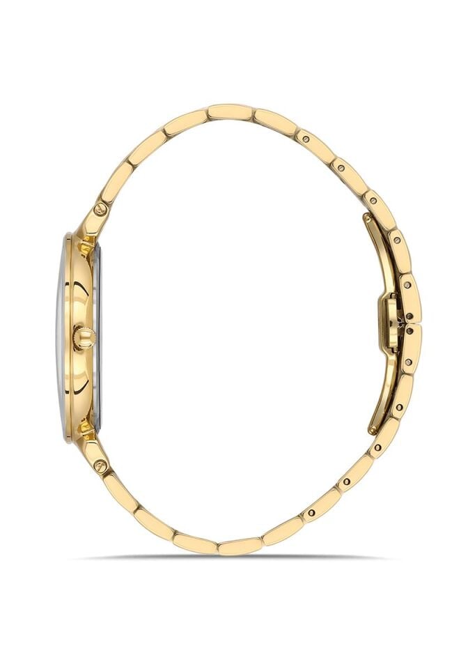 Hislon Erkek Kol Saati CL217G-08SG