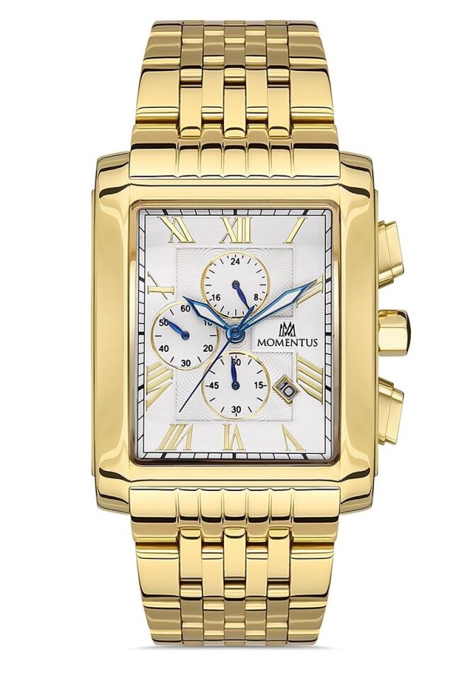 Momentus Erkek Kol Saati TM111G-02SG