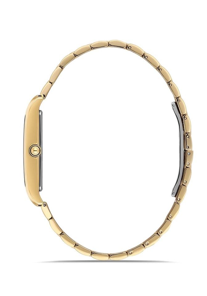 Momentus Erkek Kol Saati CM370G-02SG