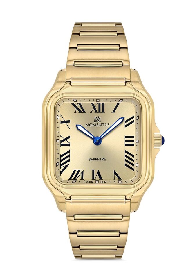 Momentus Erkek Kol Saati EM348G-08SG