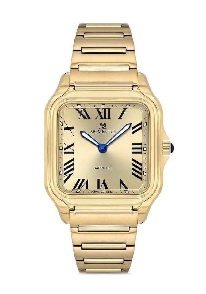 Momentus Erkek Kol Saati EM348G-08SG