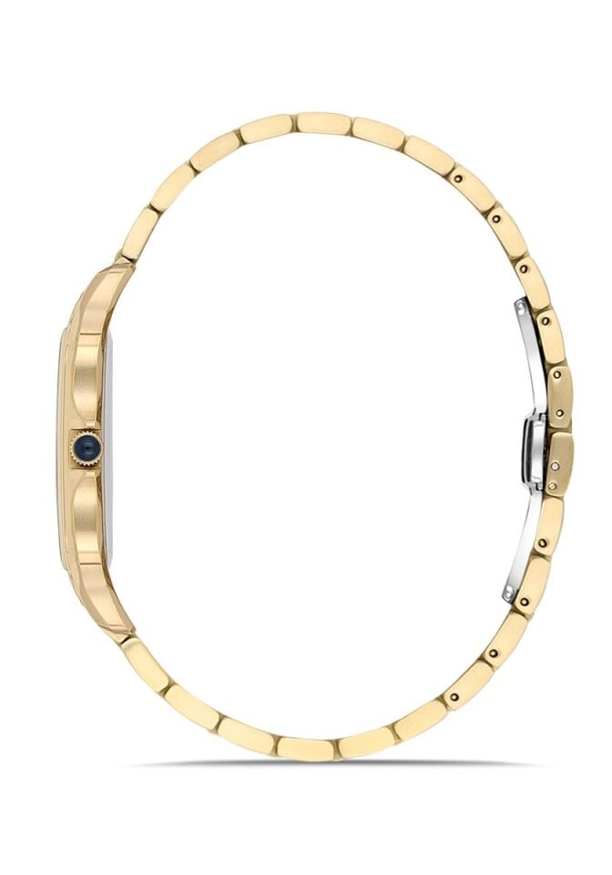 Momentus Erkek Kol Saati EM348G-08SG