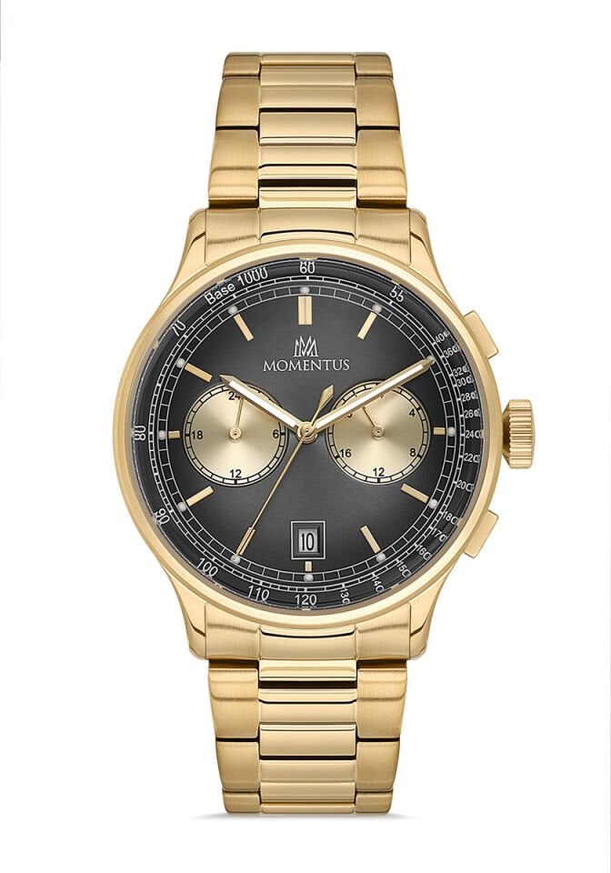 Momentus Erkek Kol Saati CC305G-04SG