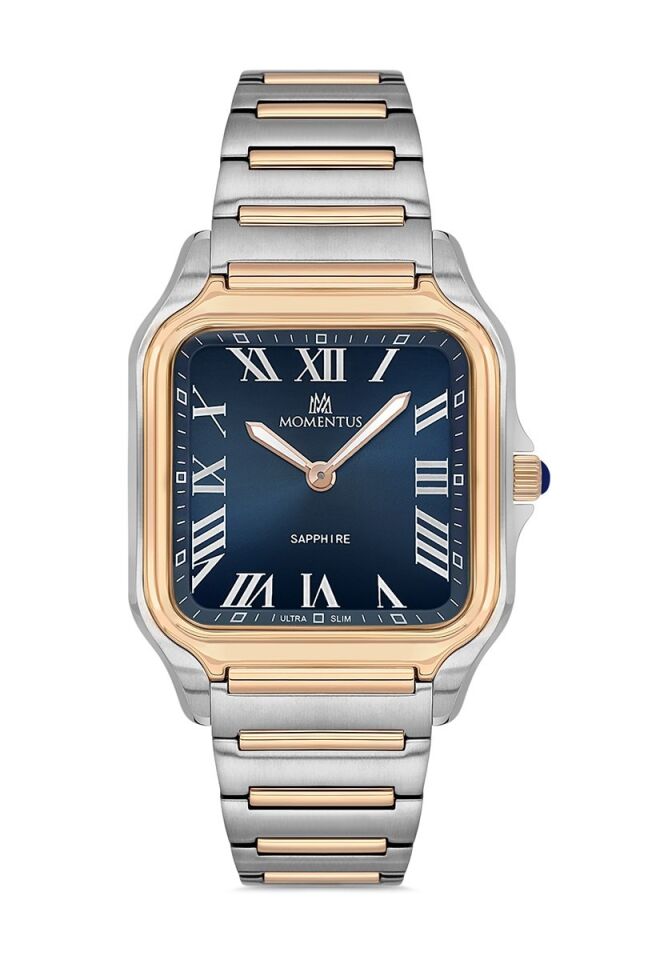 Momentus Erkek Kol Saati EM348T-11SR