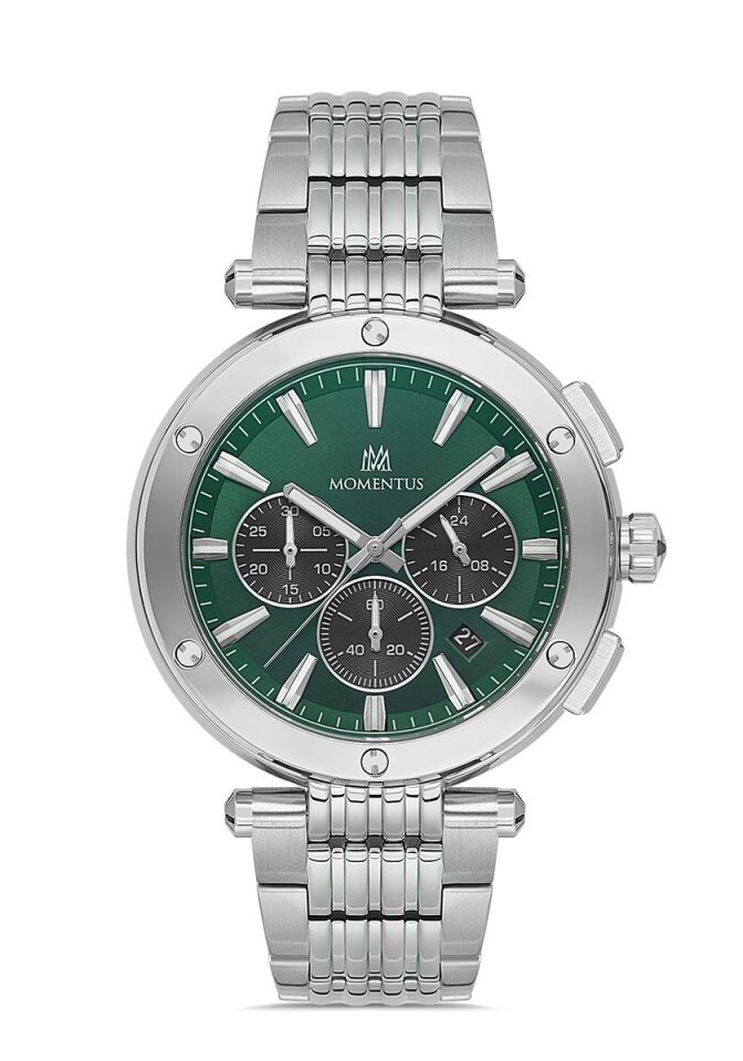 Momentus Erkek Kol Saati TM263S-15SS