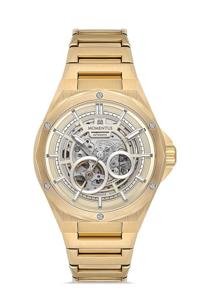 Momentus Erkek Kol Saati MM101G-16SG