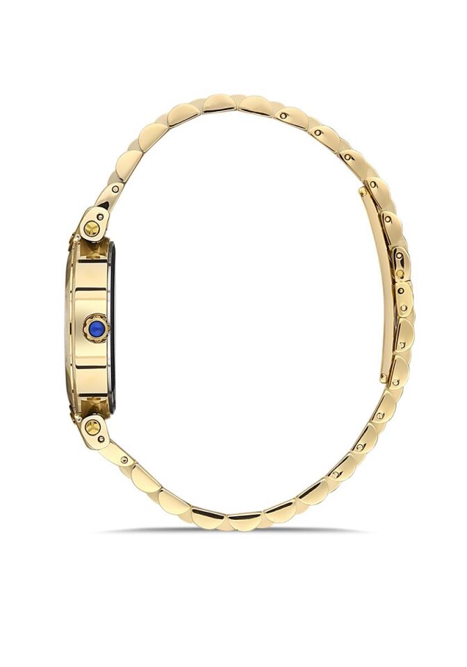 Momentus Kadın Kol Saati CS380G-02SG