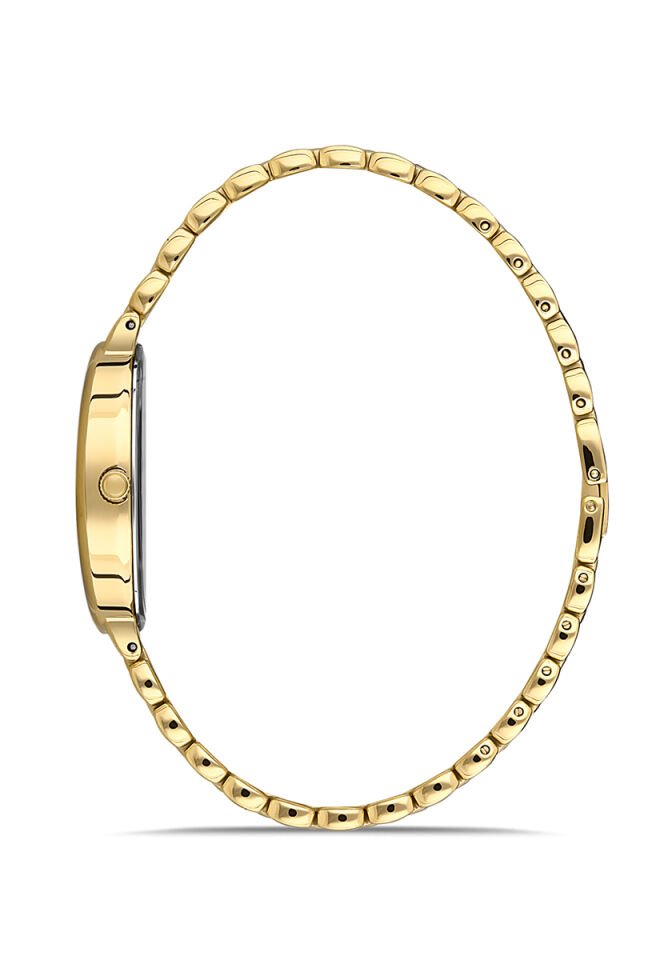 Momentus Kadın Kol Saati CW254G-02SG