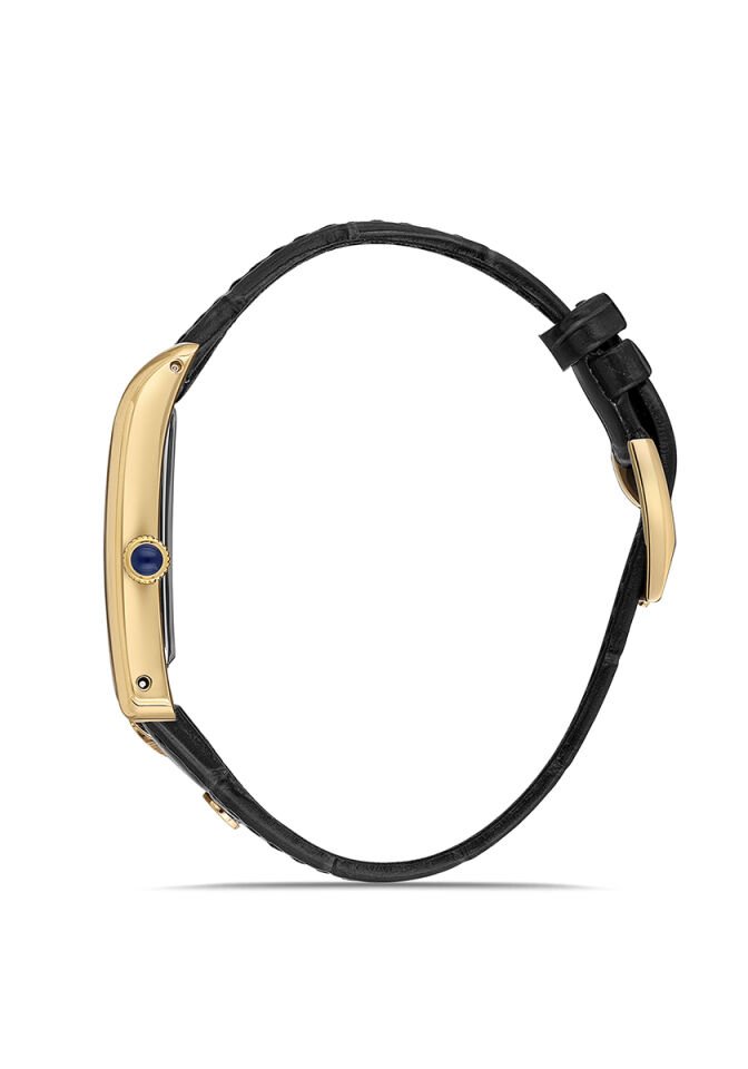 Momentus Erkek Kol Saati CM365G-02BG