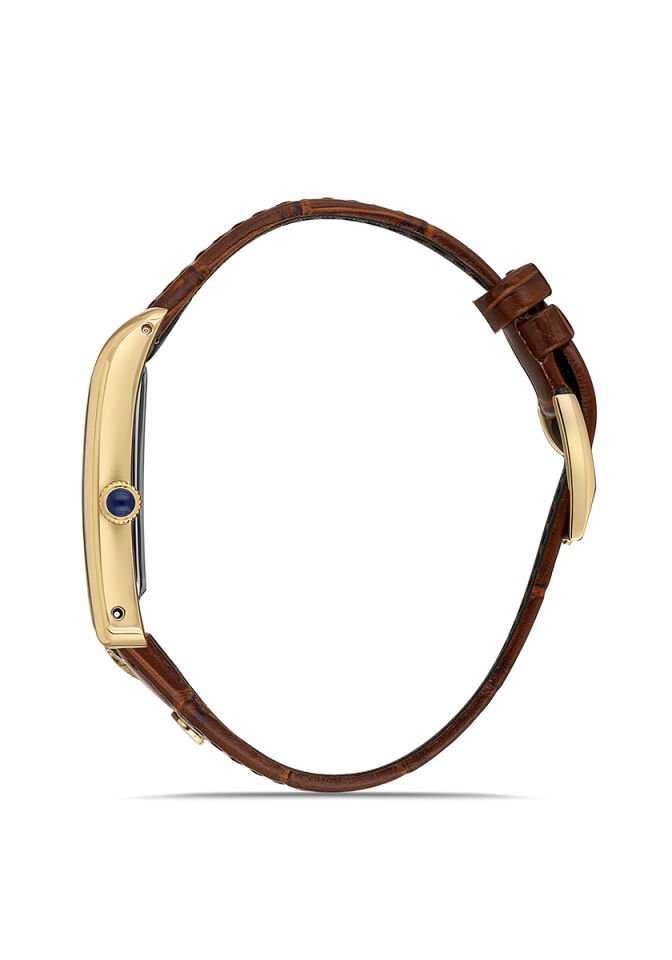 Momentus Erkek Kol Saati CM365G-02KG