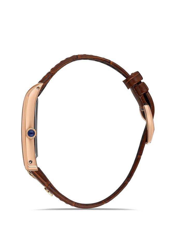 Momentus Erkek Kol Saati CM365R-02KR