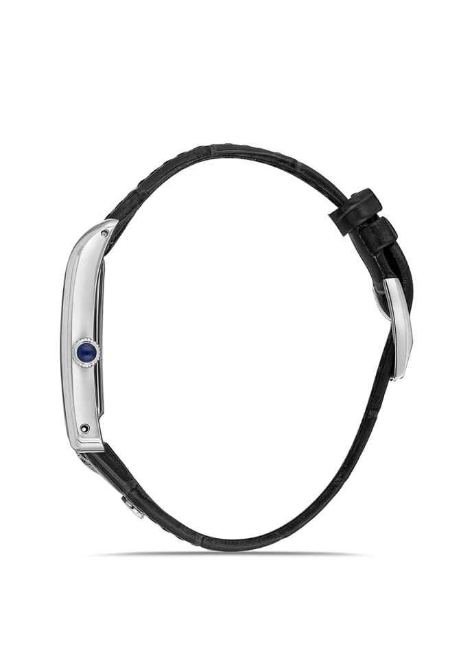 Momentus Erkek Kol Saati CM365S-02BS