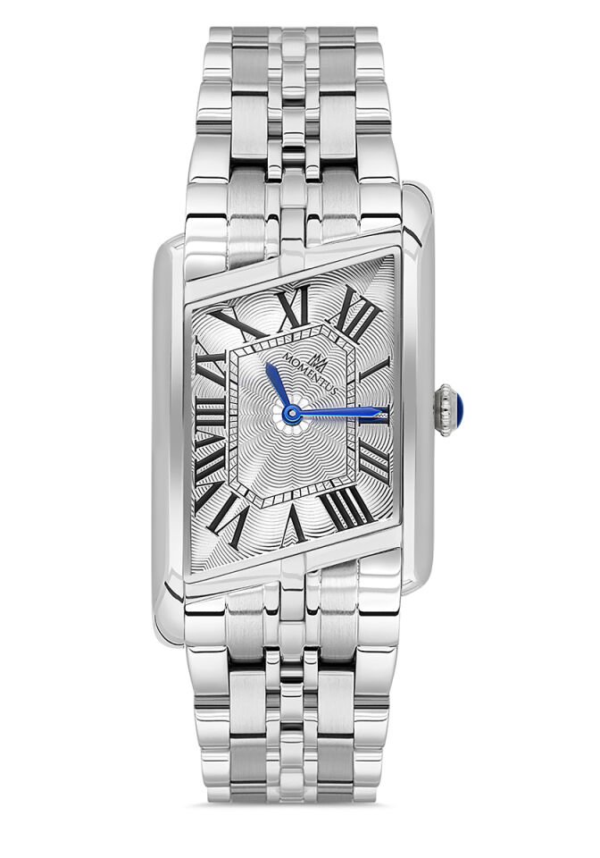 Momentus Erkek Kol Saati CM365S-02SS