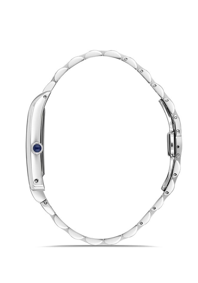 Momentus Erkek Kol Saati CM365S-02SS