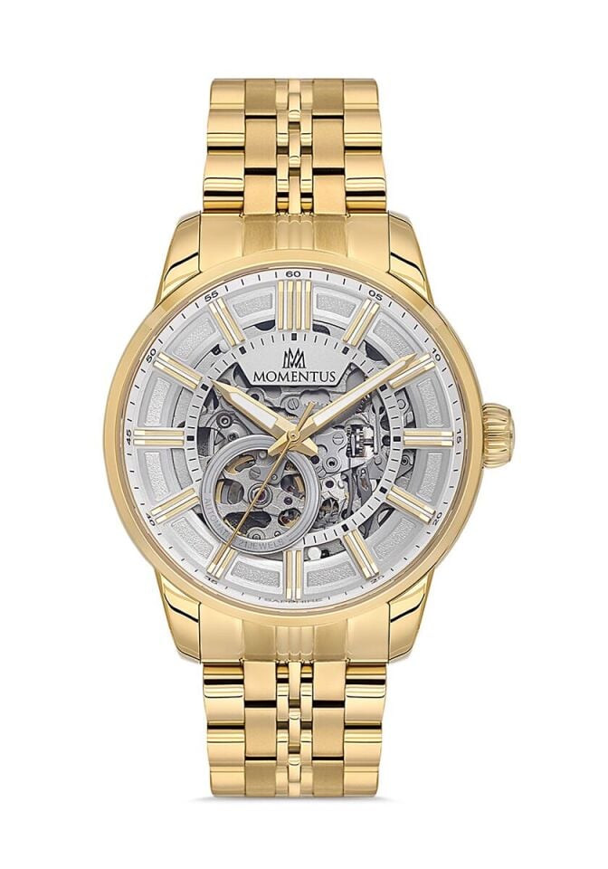 Momentus Erkek Kol Saati TM380G-16SG