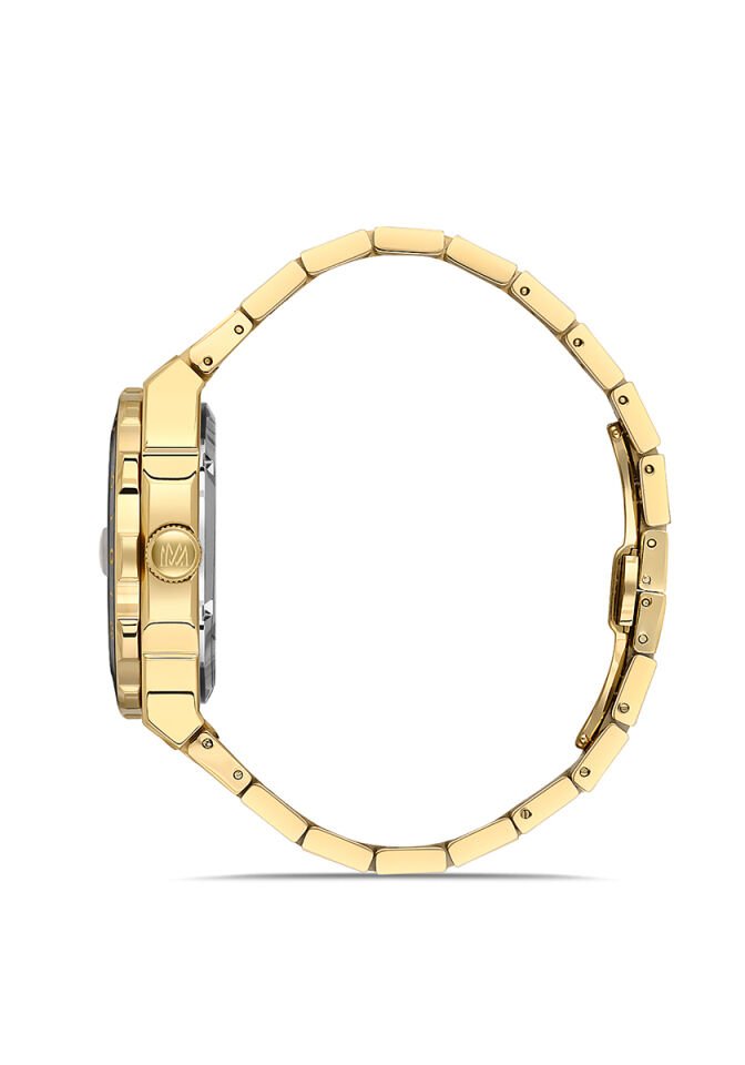 Momentus Erkek Kol Saati TM264T-04SG