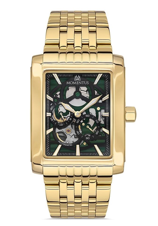 Momentus Erkek Kol Saati-TM333G-15SG