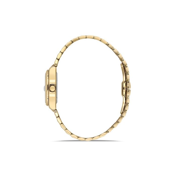 Momentus Kadın Kol Saati - CS262G-08SG